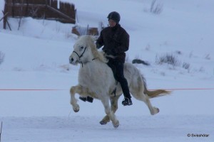 Kaldbakur Tour 2015 (25)